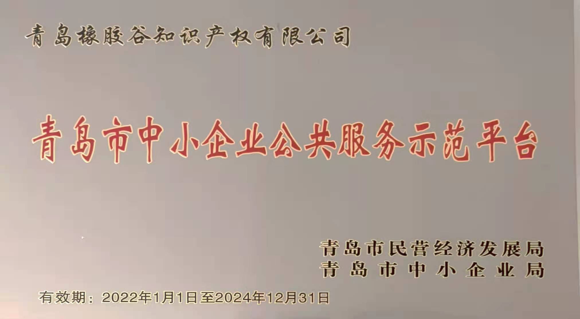 青岛市中小企业公共好色先生软件示范平台